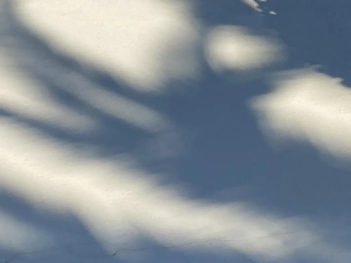 Cnudyart - Photo de couverture MYM - Créatrice premium | French Modèles