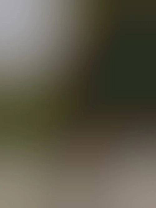 Lisadolcevita31 mym media leak - Photo 11 | French Modeles