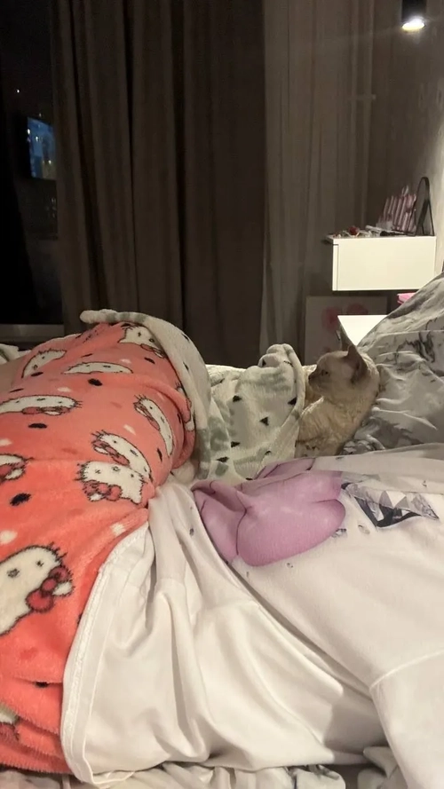 Kristinavmd mym media leak - photo publique MYM | French Modeles