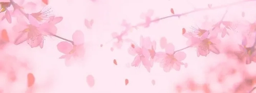 Chacha_76 - Photo de couverture MYM - Créatrice premium | French Modèles