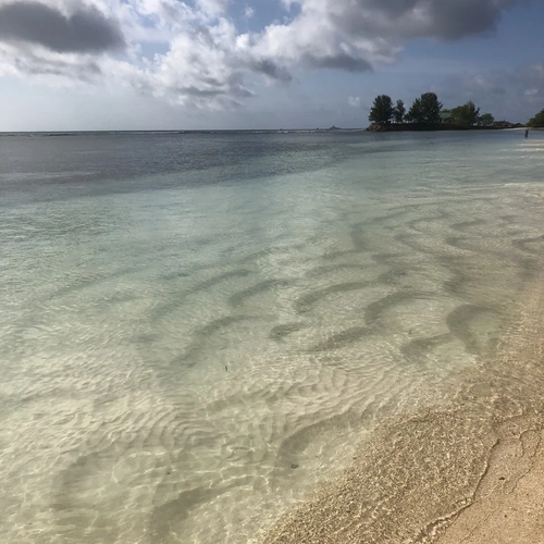 Karolyne_357 - Photo de couverture MYM - Créatrice premium | French Modèles