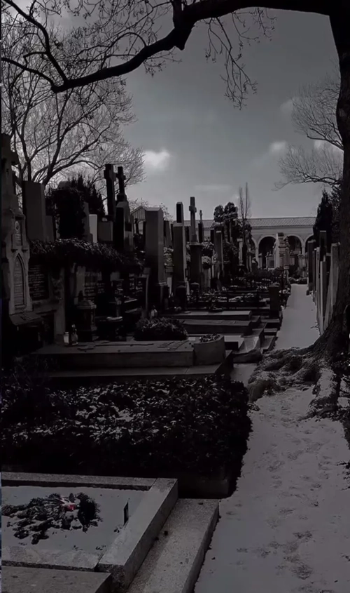 Meilee - Photo de couverture MYM - Créatrice premium | French Modèles