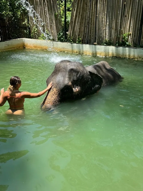 Lashwanaargm mym media leak - Média 7 | French Modeles