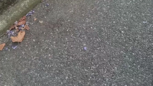 BAP-DOMINATION mym media leak - Média 7 | French Modeles