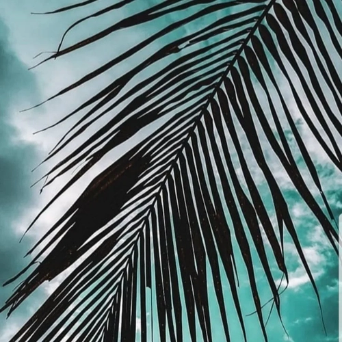 Eclipse29 - Photo de couverture MYM - Créatrice premium | French Modèles