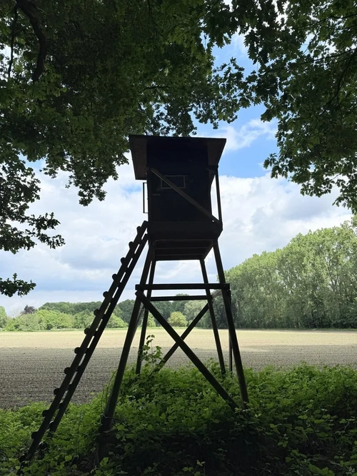 Its3jojo mym media leak - Média 3 | French Modeles