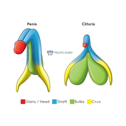 Transmetisse - Photo de couverture MYM - Créatrice premium | French Modèles