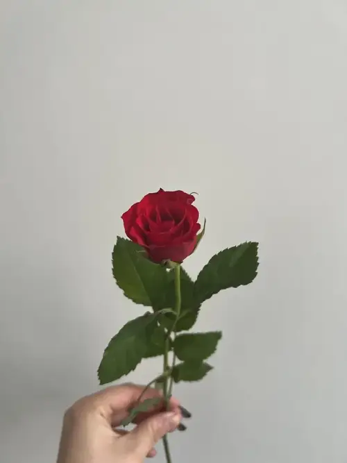 Maddiie - Créatrice MYM premium avec contenu exclusif | French Modeles