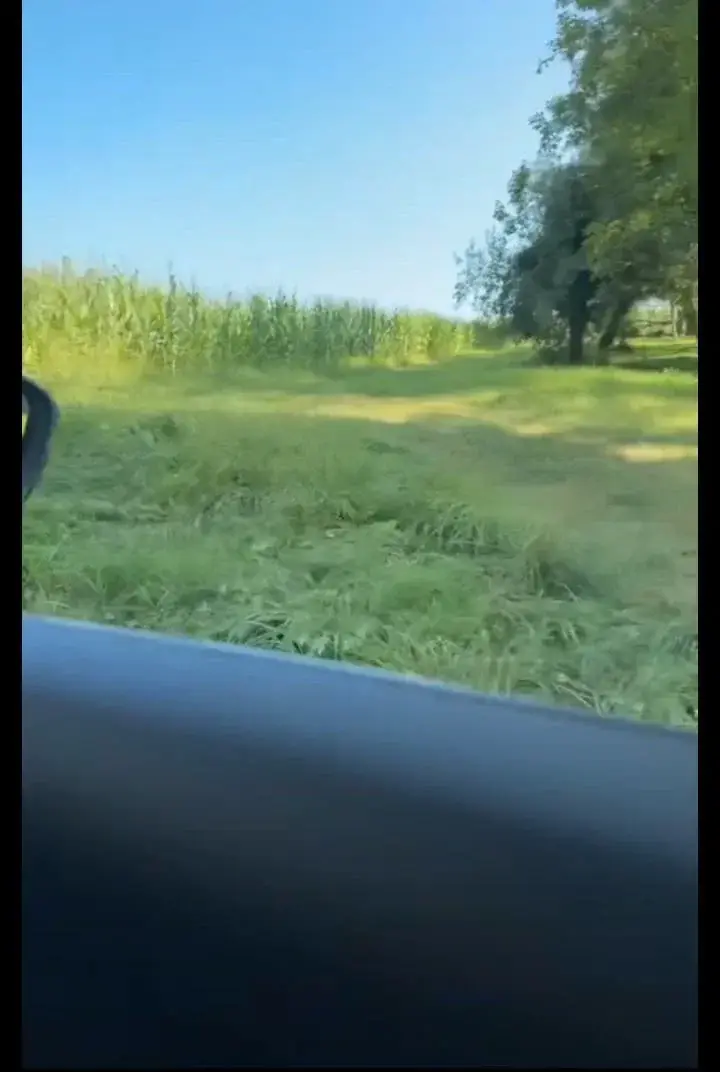 Je vous annonce un bon suçage de 🍆 en forêt 😜