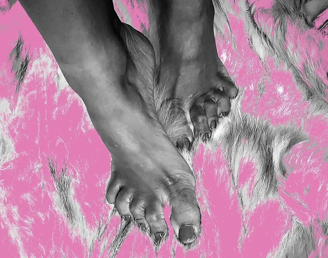 Avatar de Louisonfeet