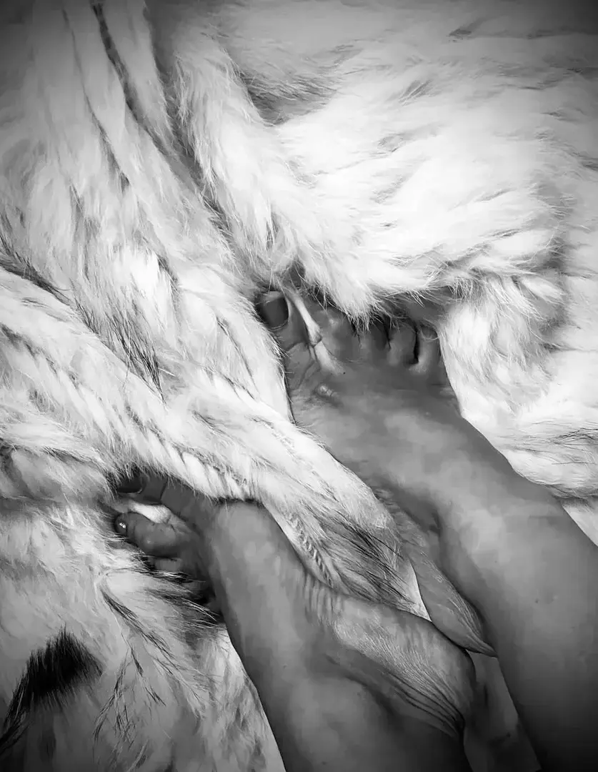 Photo de couverture de Louisonfeet