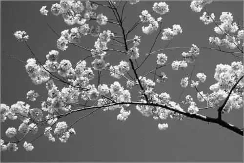 Photo de couverture de P%F0%9D%94%BCt%CD%A1%CD%9Cit%CD%A1%CD%9C%E1%B5%96i%CD%9F%E2%93%94%EF%B8%8E%E2%93%93%EF%B8%8E