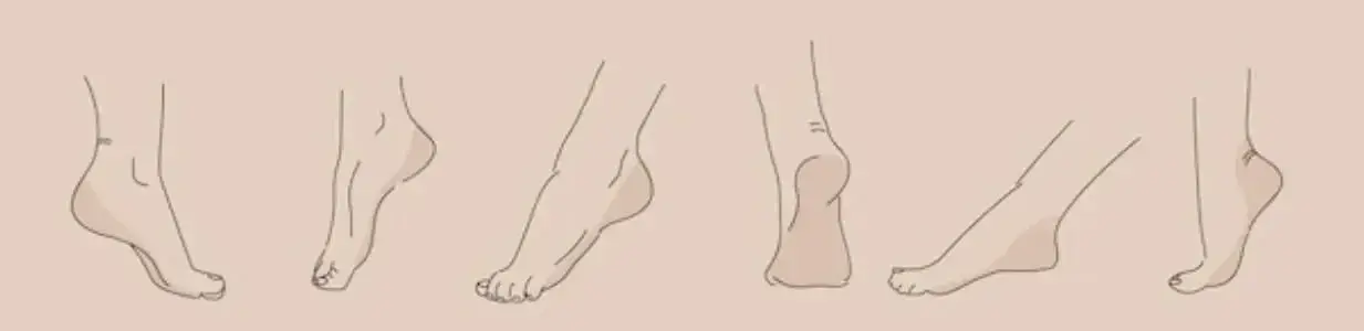 Photo de couverture de Pieds_debiche