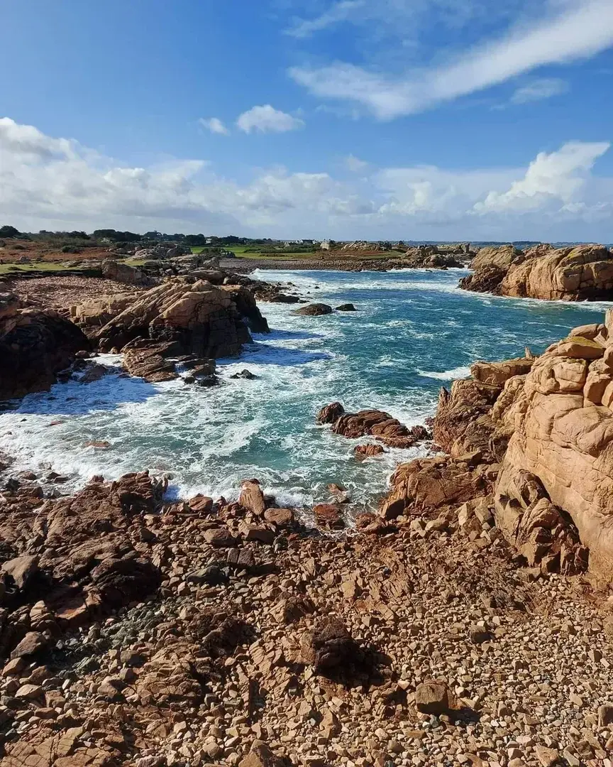 Photo de couverture de Lepicurienne