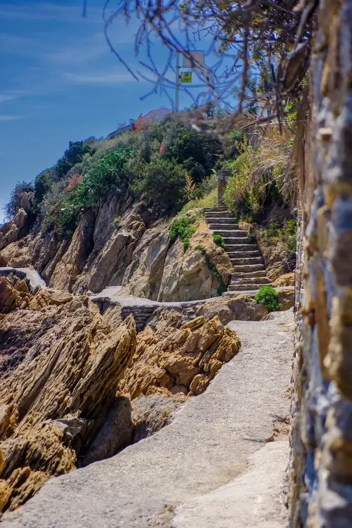 Petite balade sur le sentier du littoralShort walk on the coastal path#france #walk #photo
