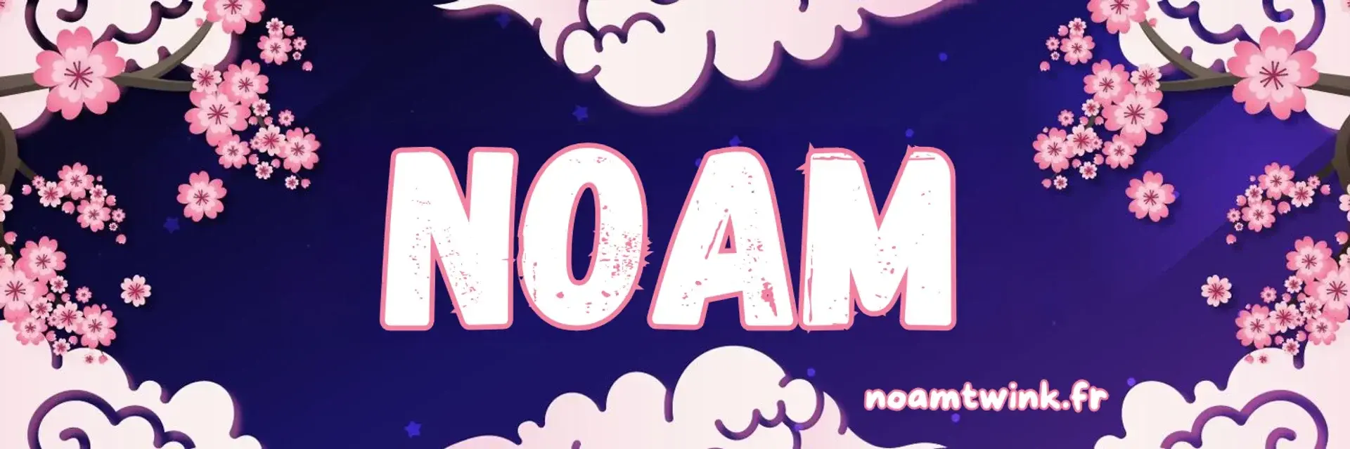 Photo de couverture de Noamtwink
