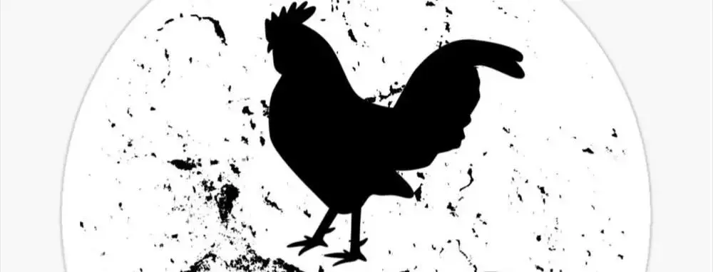 Photo de couverture de Mr_phatc0ck