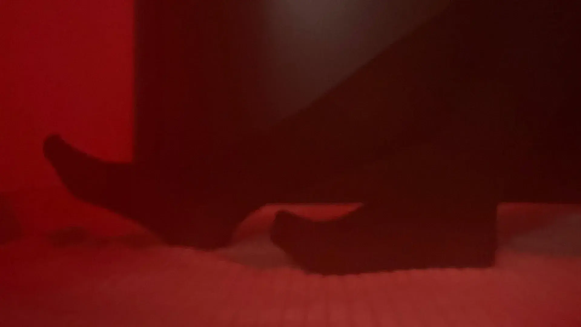 Leak & nude 4 — daeronafeet