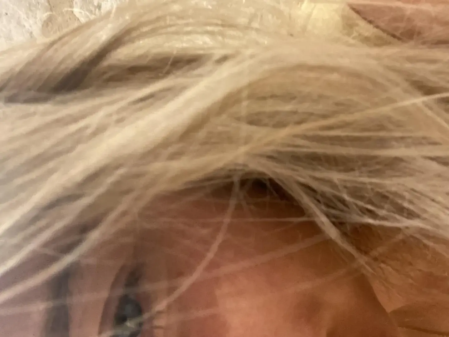 Avatar de Blondibond