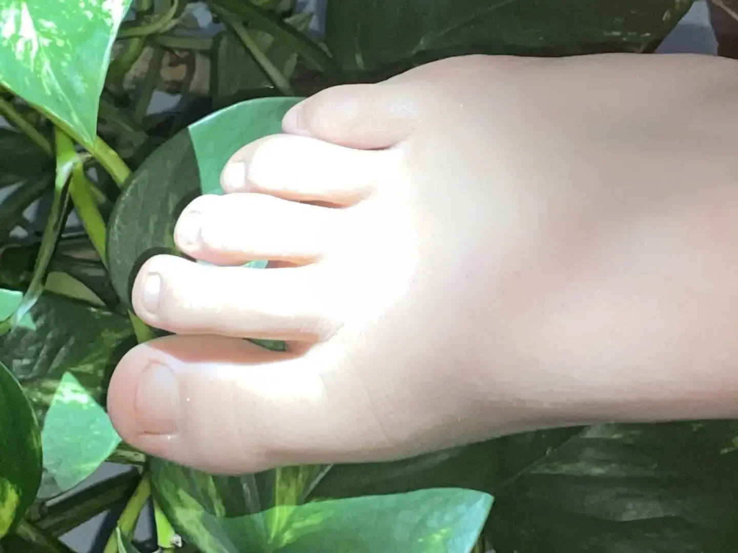 Avatar de Luxuryxfeet