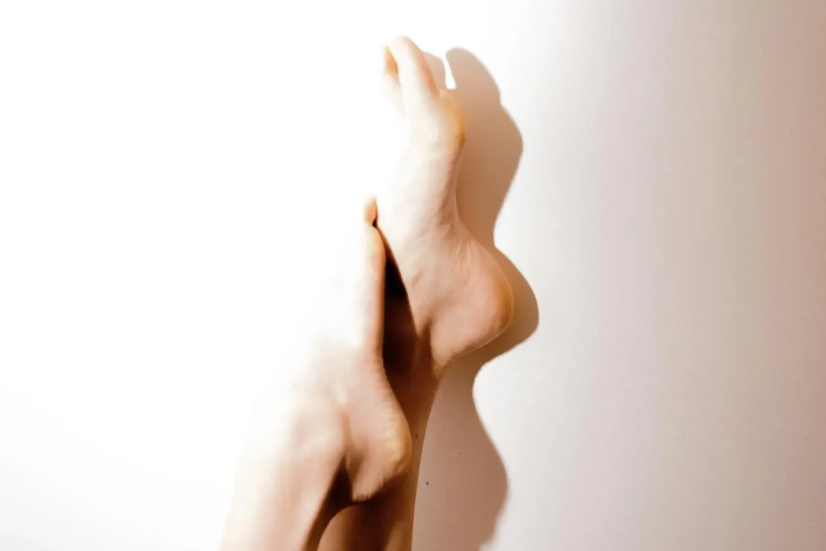 Avatar de Artifeet