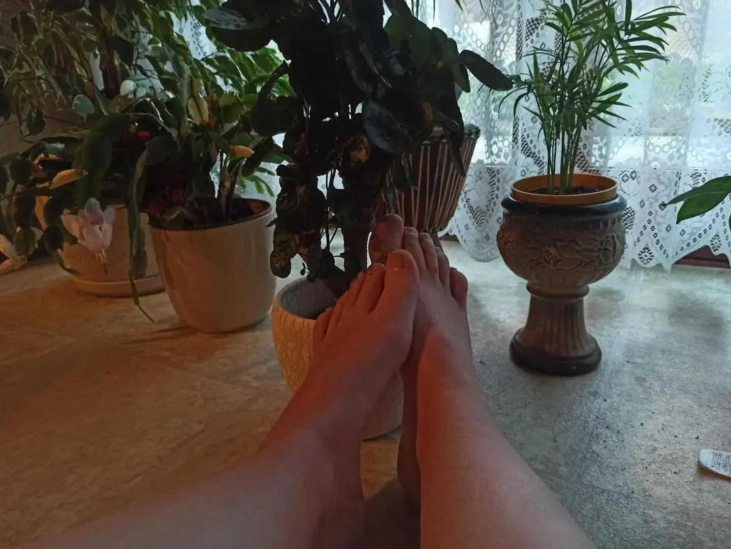 Photo de couverture de Lily_feet17