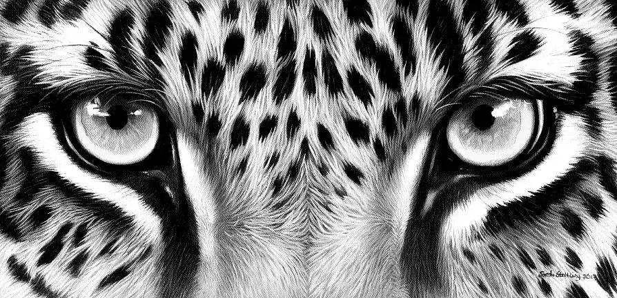 Photo de couverture de Blondpanthera