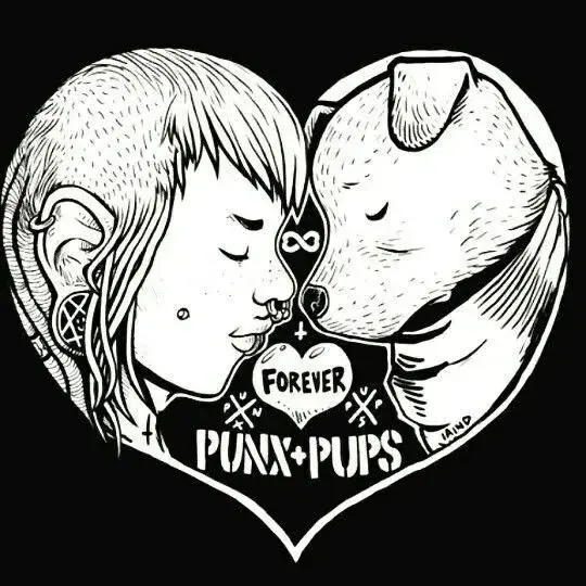 Photo de couverture de Babypunk