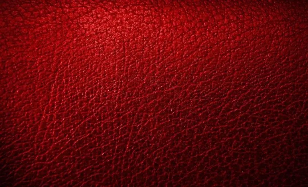 Photo de couverture de Parisfeetfan