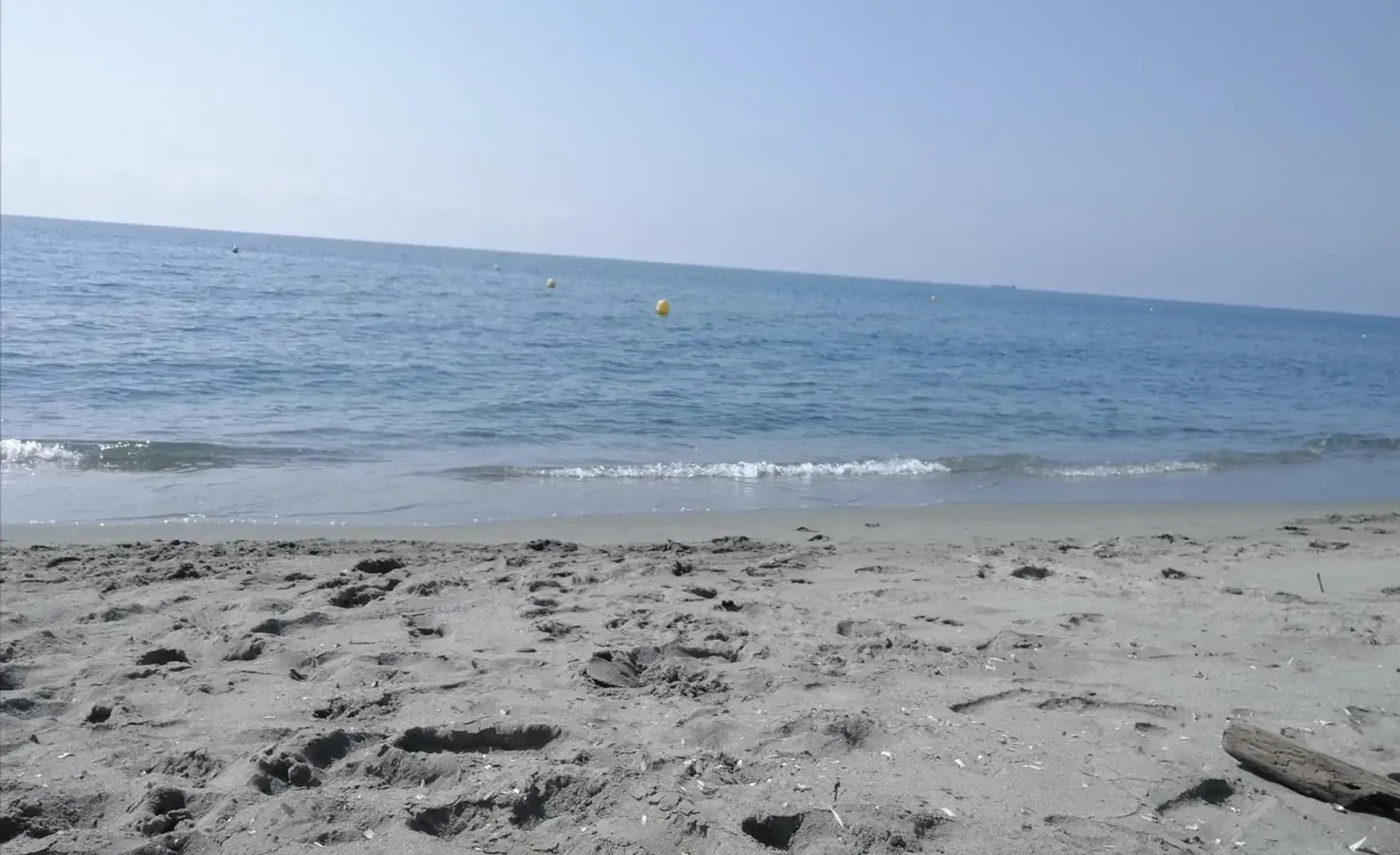 Photo de couverture de Mespetitspiedspoilus