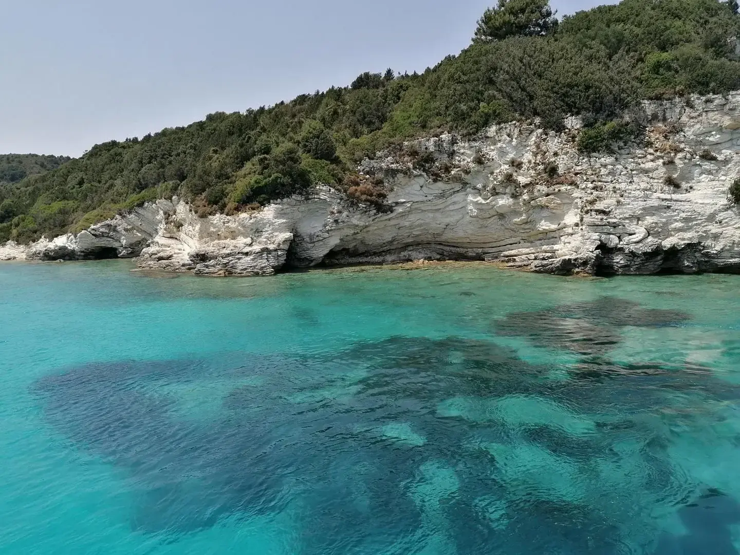 Photo de couverture de Cyriela