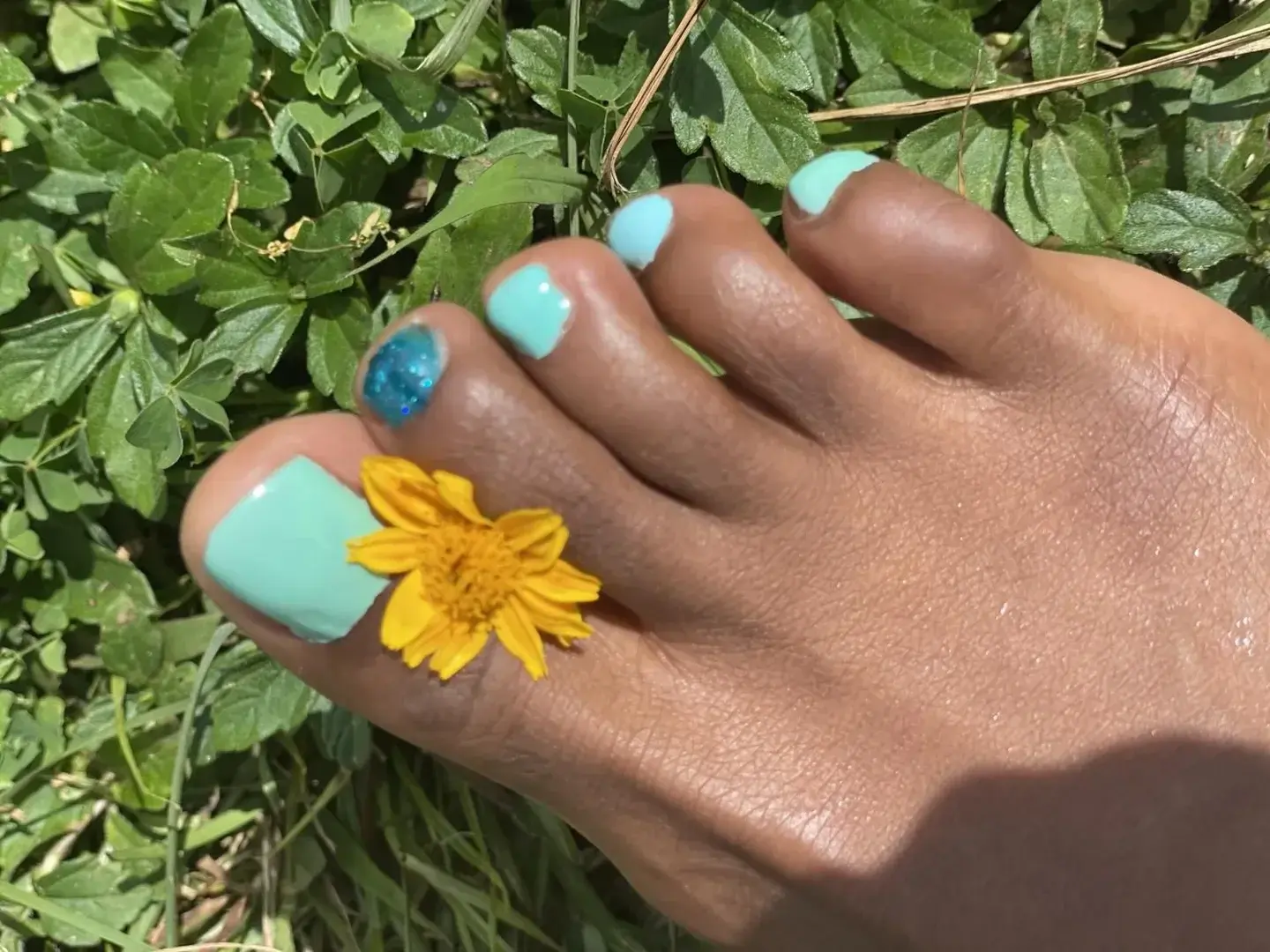 Avatar de Pedi4you
