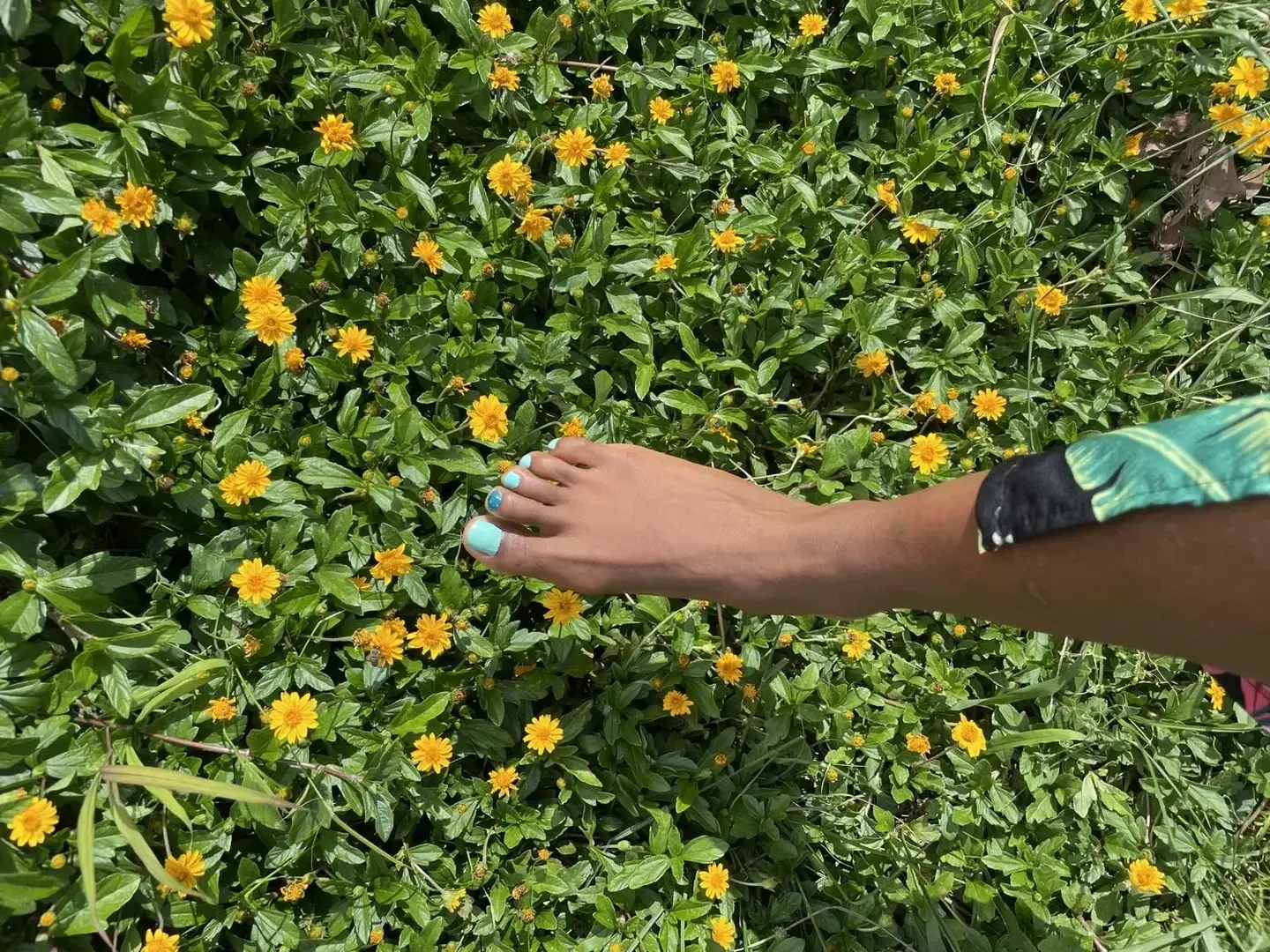 Photo de couverture de Pedi4you