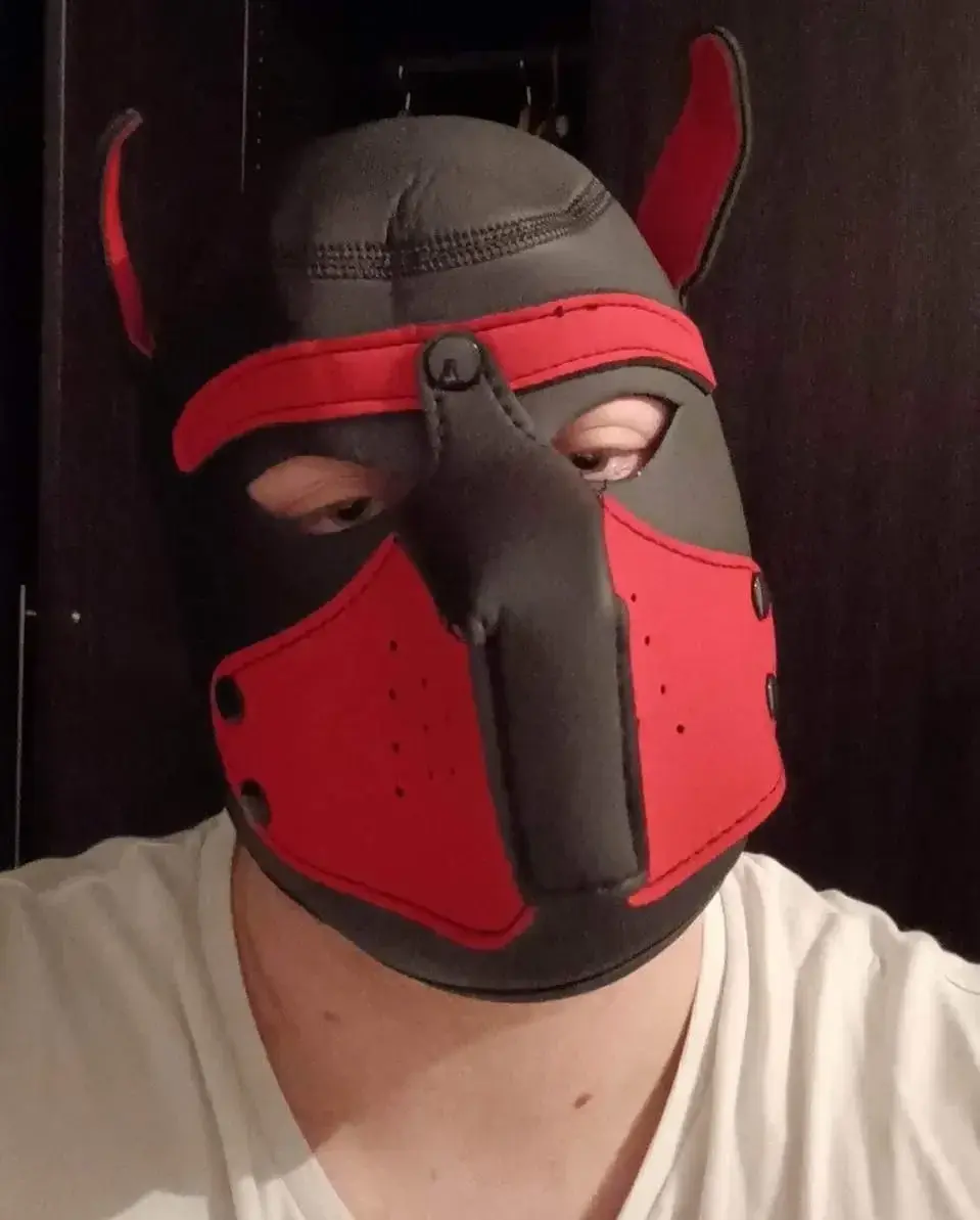 Avatar de shivai_puppy