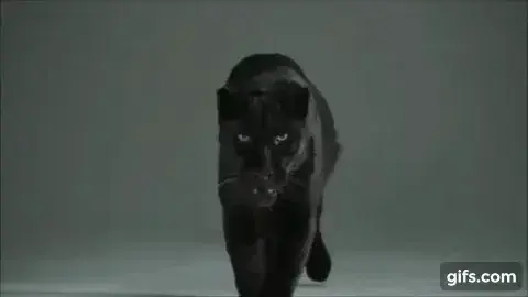 Photo de couverture de Iamkali