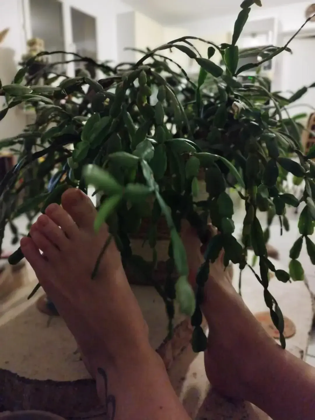 Leak & nude 3 — ambre0115