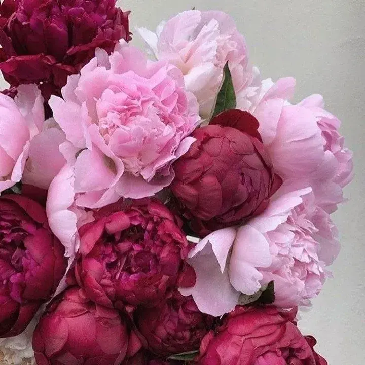 Photo de couverture de Natachaluxure_anal_sexy_pornostar