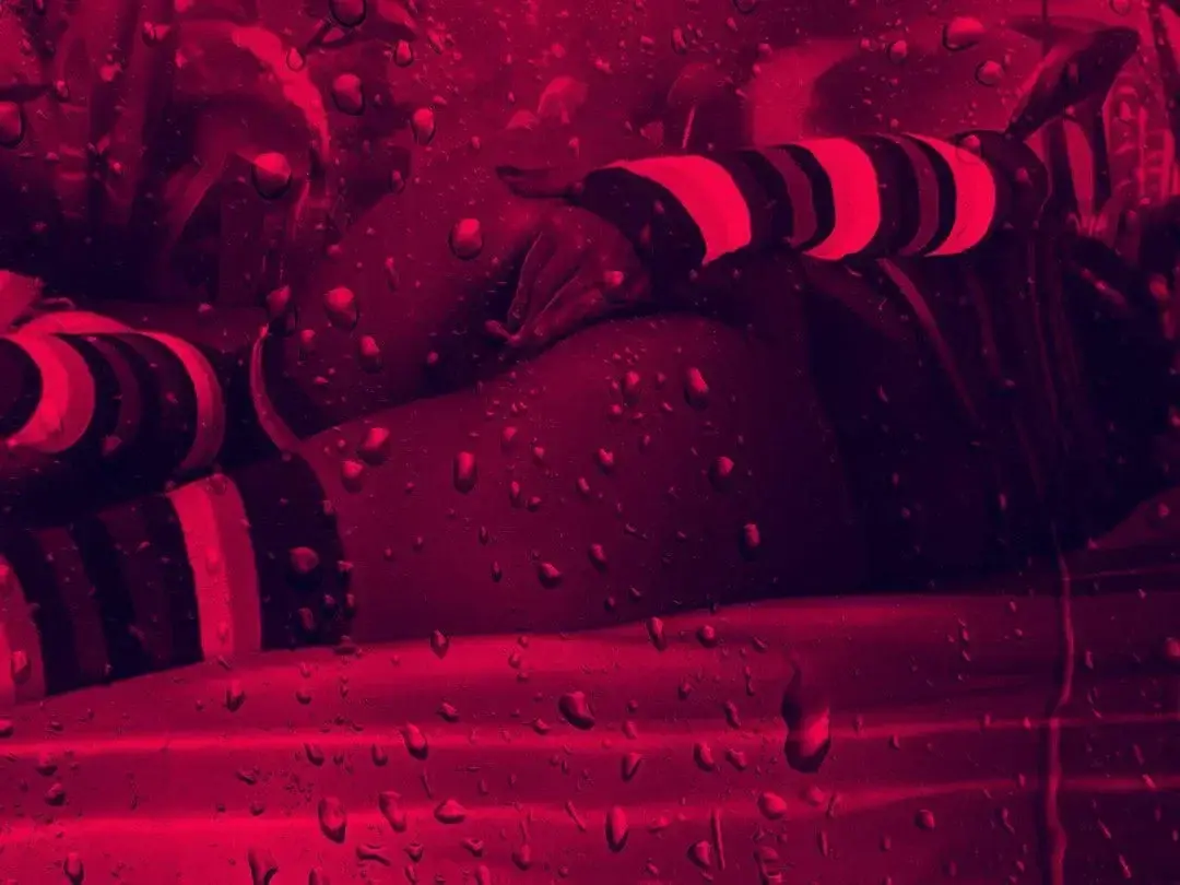 Photo de couverture de Lanamendes