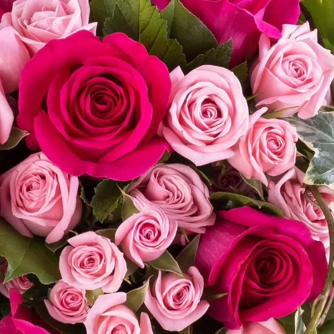Photo de couverture de xxjessx59
