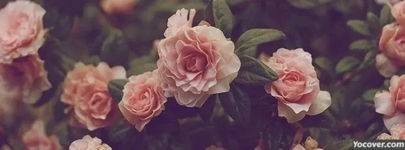 Photo de couverture de Ayumisan_