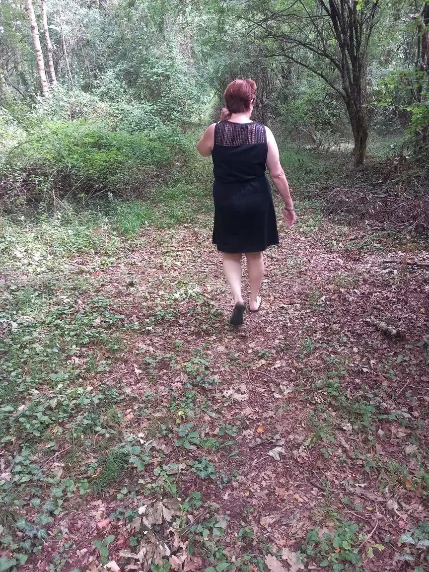 Suivez moi dans les bois
