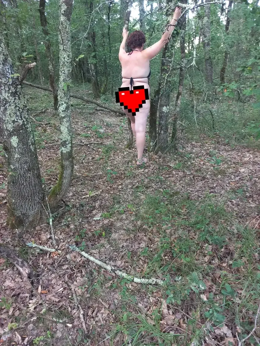 Promenade dans les bois, suivez moi pour voir la suite