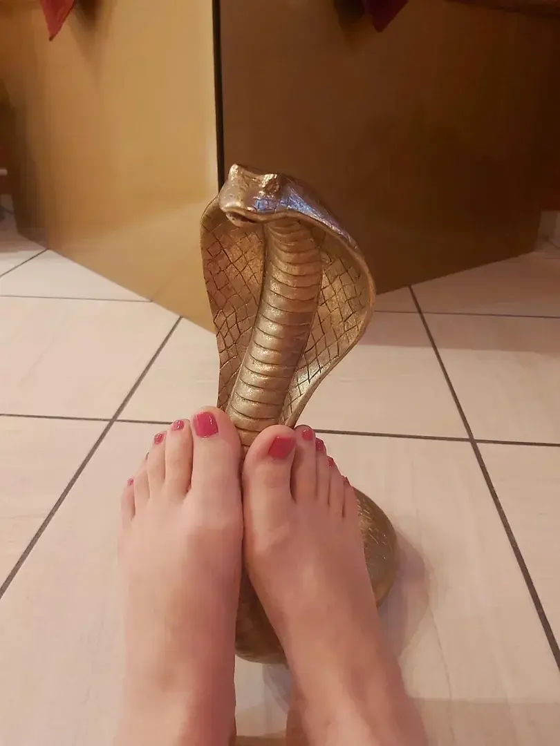 Avatar de Au_pied_de_la_lettre