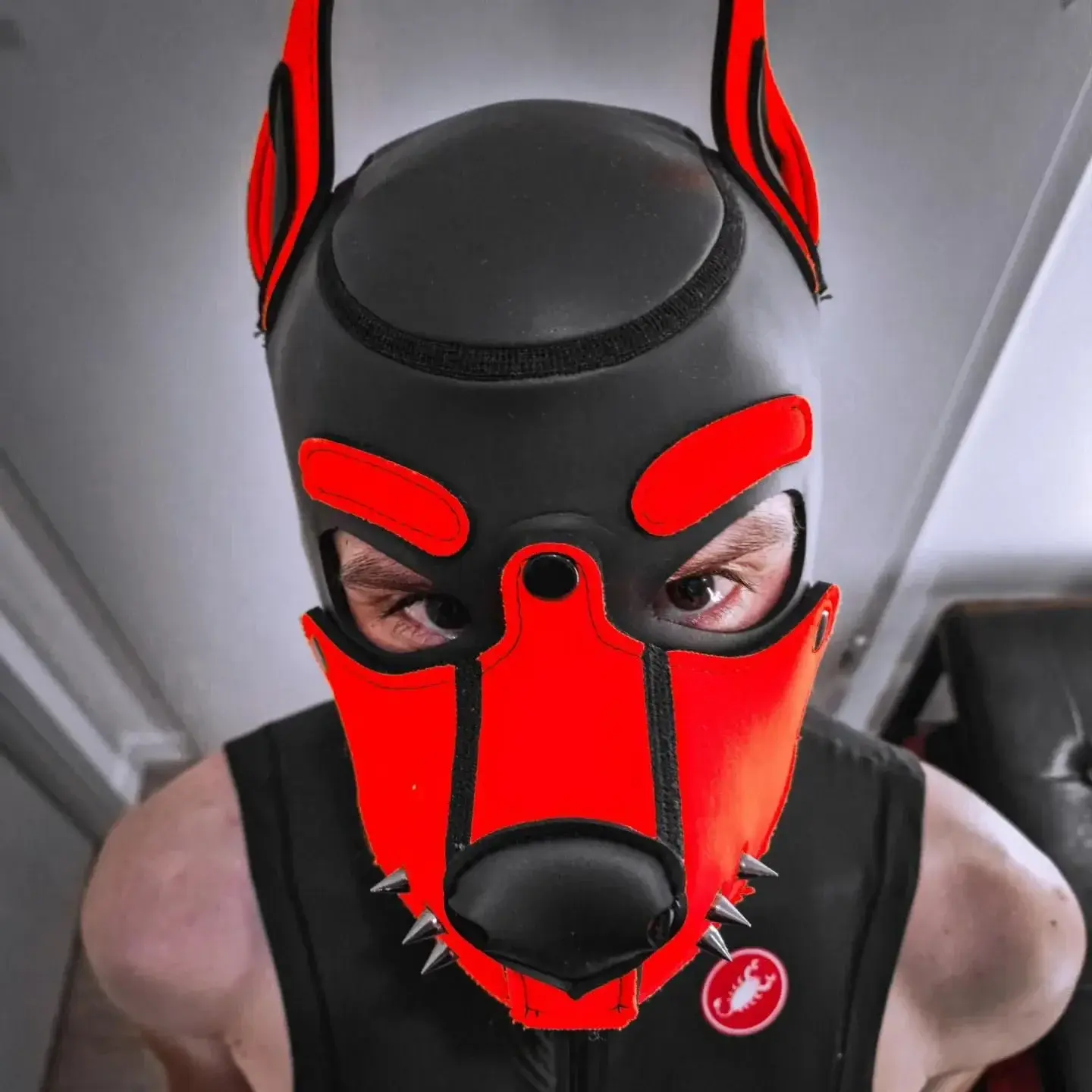 Avatar de Puppy_jimbo
