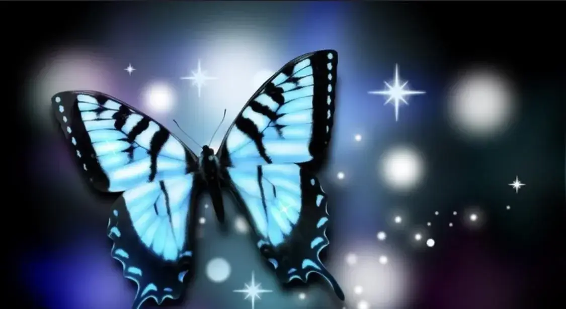 Photo de couverture de C-papillon