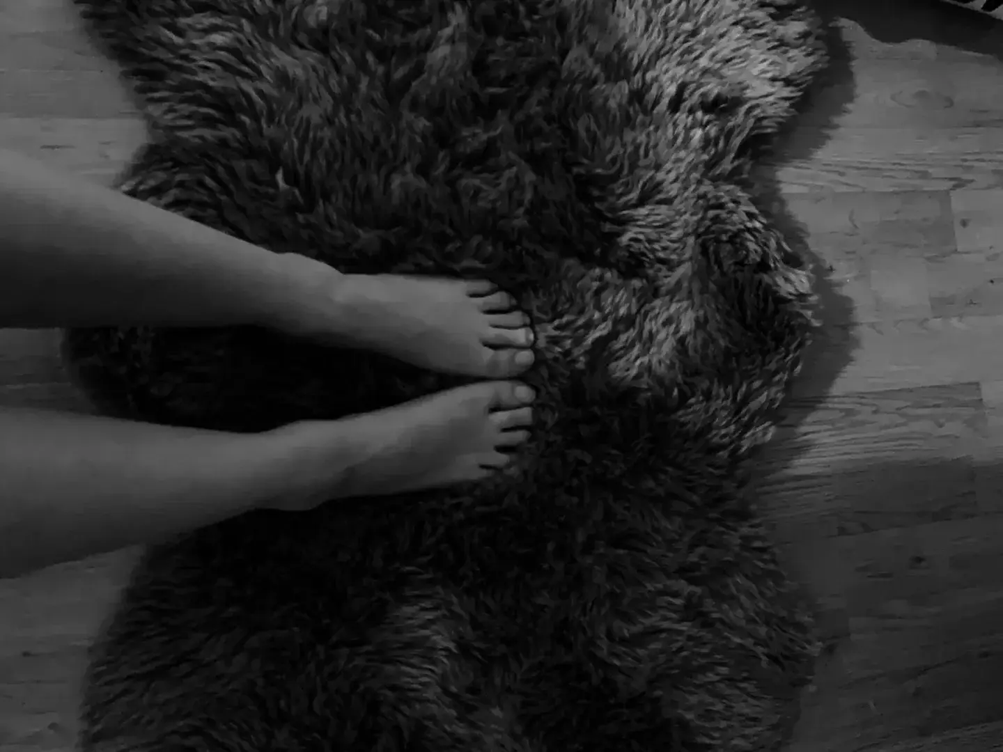 Instinct Sauvage