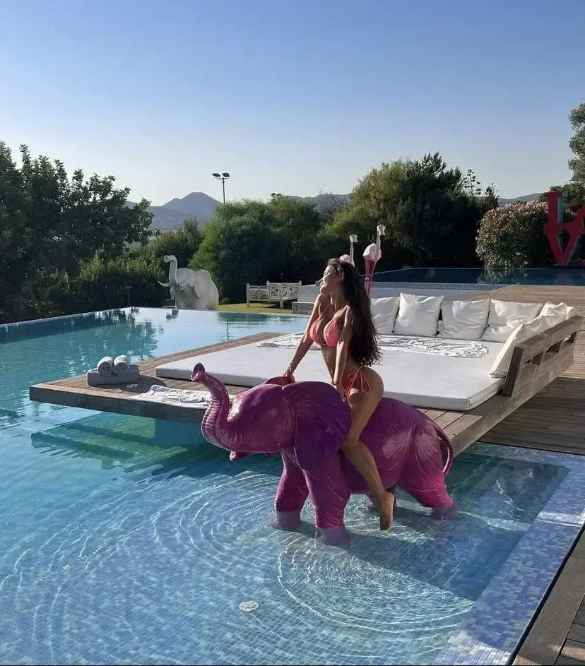 Photo de couverture de Paradisevideo