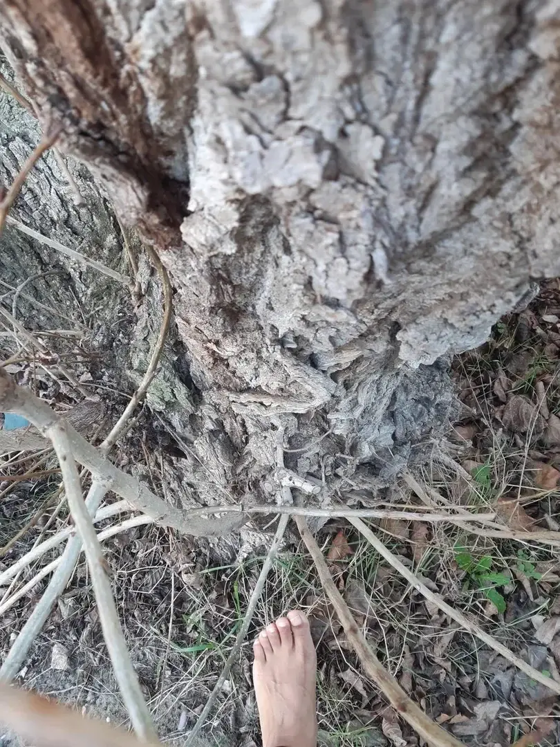 J'adore être en connexion avec la nature à Limonest...