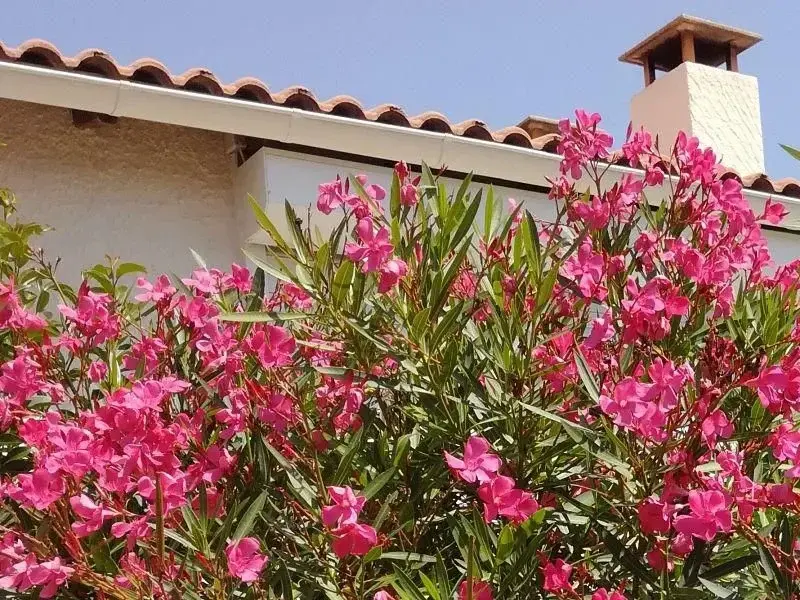 Photo de couverture de Feetfinder-du-13
