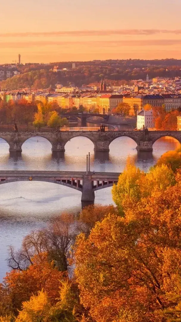 Photo de couverture de Torinono